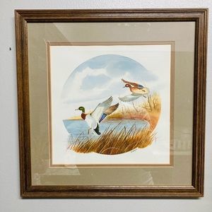 Rudy Ravasio Framed Mallard Duck Art- Signed